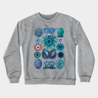 Ernst Haeckel Ascidiae Sea Squirts Blue Crewneck Sweatshirt